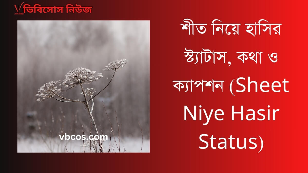 (Sheet Niye Hasir Status) শীত নিয়ে হাসির স্ট্যাটাস